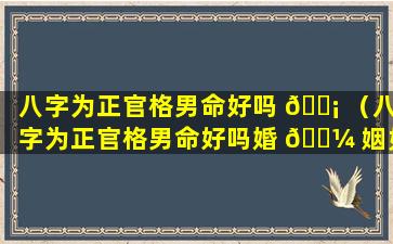 八字为正官格男命好吗 🐡 （八字为正官格男命好吗婚 🐼 姻如何）